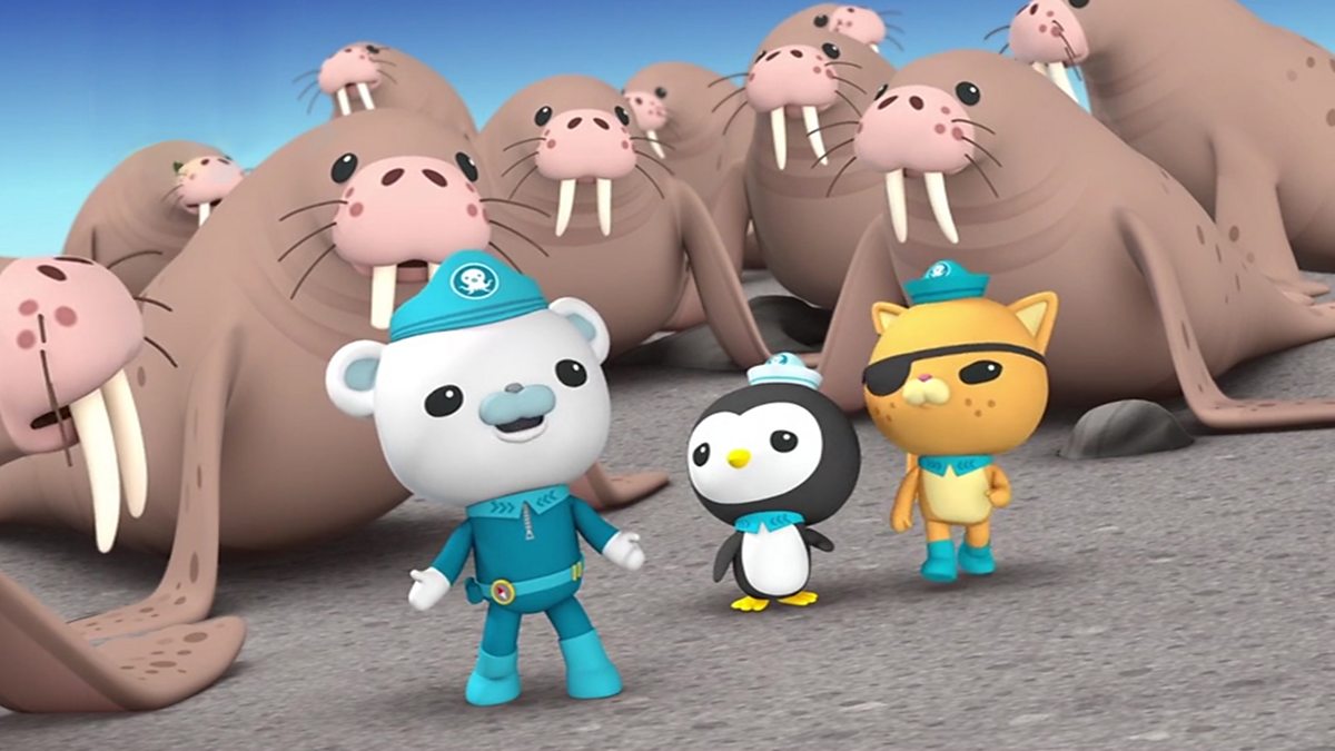 Octonauts - Series 1: 4. The Walrus Chief - BBC IPlayer