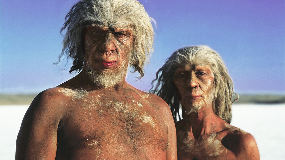 BBC Radio 4 Tracks Eight surprising facts about human evolution