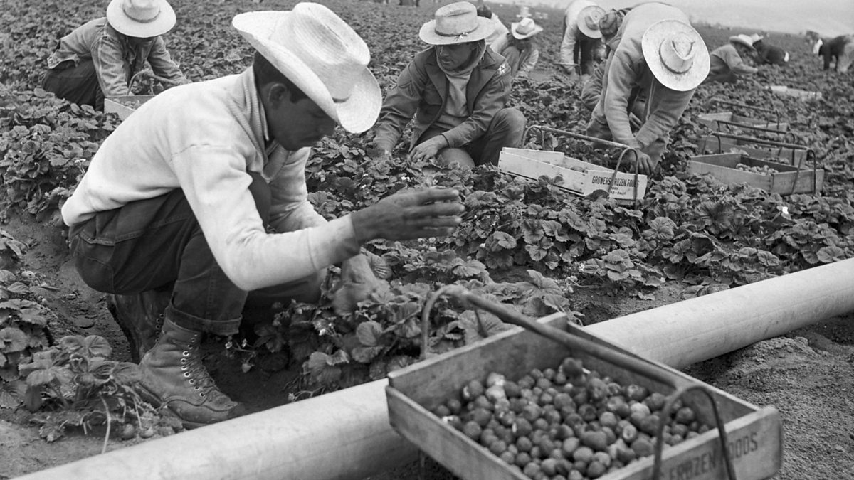 BBC World Service Witness History, The 'Braceros', America's Mexican