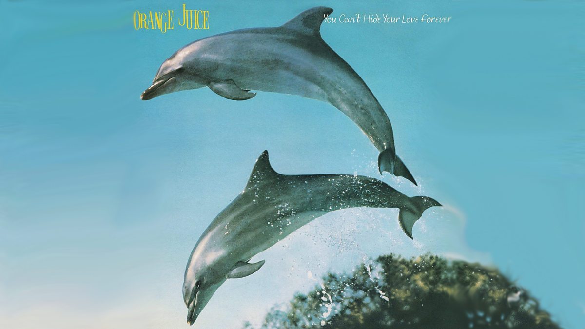 ORANGE JUICE - You Can't Hide Your Love Forever - Amazon.com