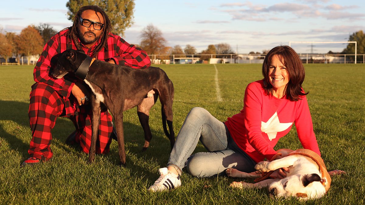 BBC One Give a Dog a Home