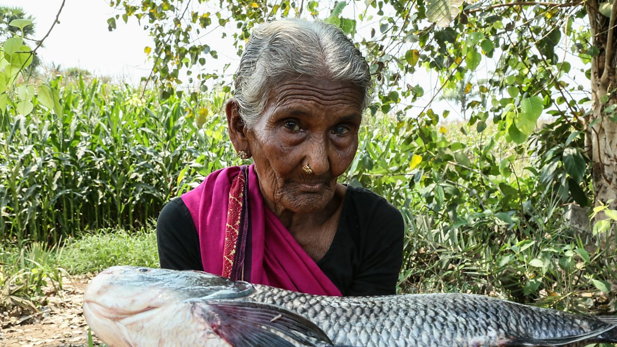 Bbc World Service World Business Report Mastanamma Badass India Granny Chef Dies At 107