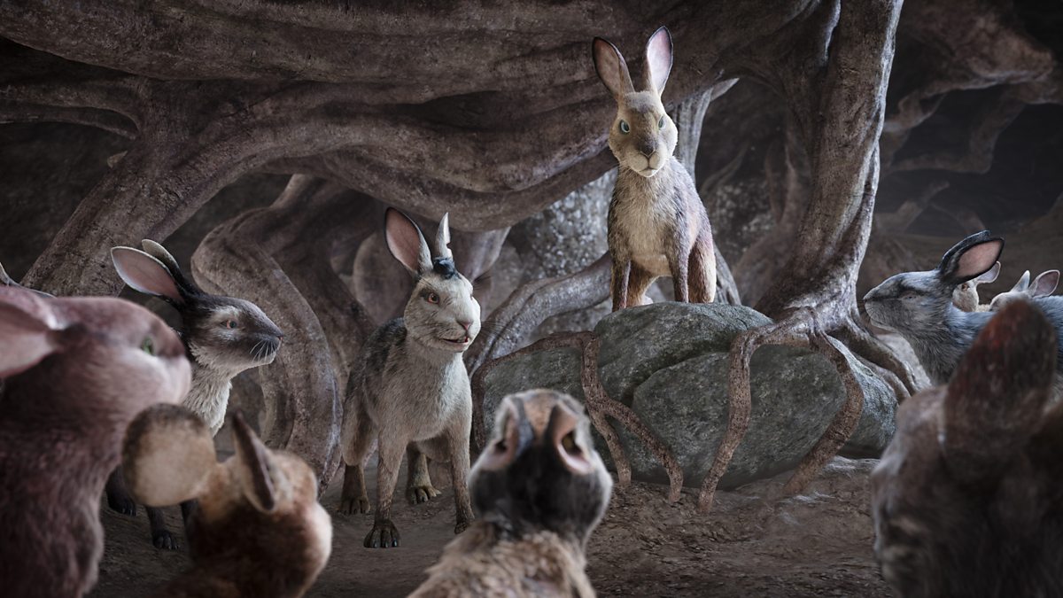 BBC One - Watership Down, Two-Part Version, The Journey and the Raid, Water...