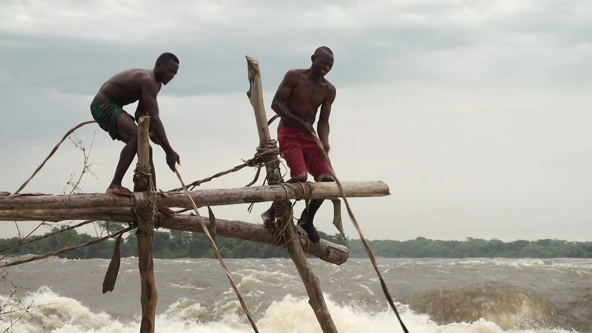 BBC News Congo A Journey to the Heart of Africa