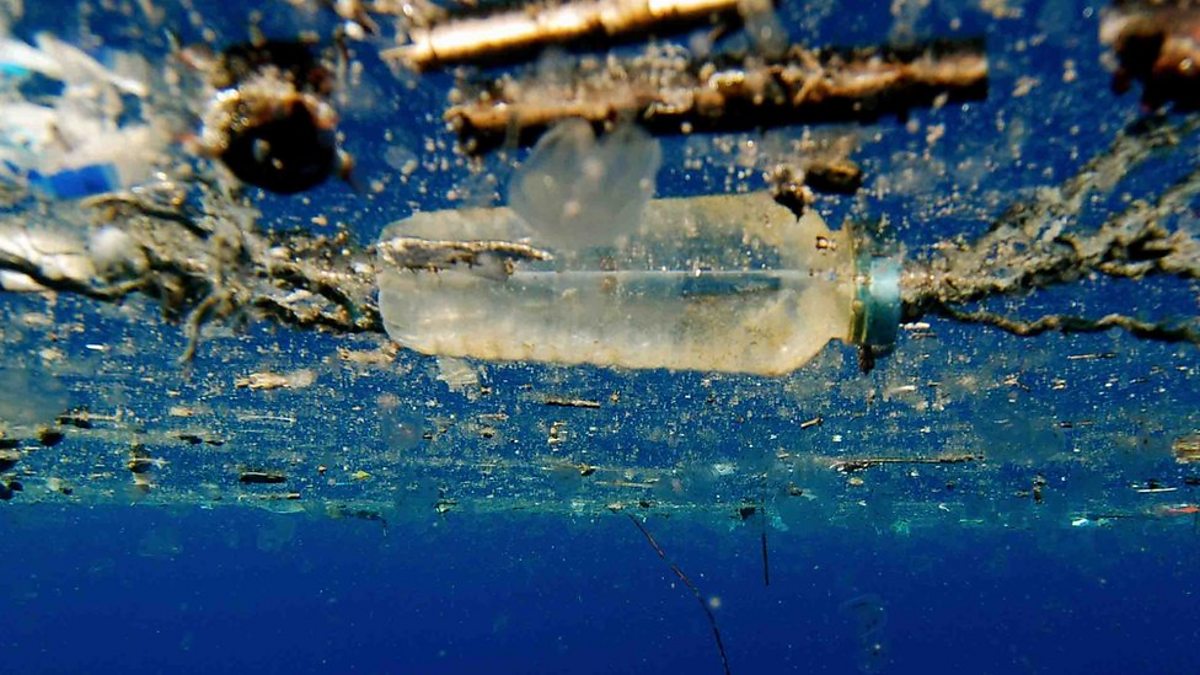 BBC Radio Wales - Science Cafe, Using science to tackle plastic pollution