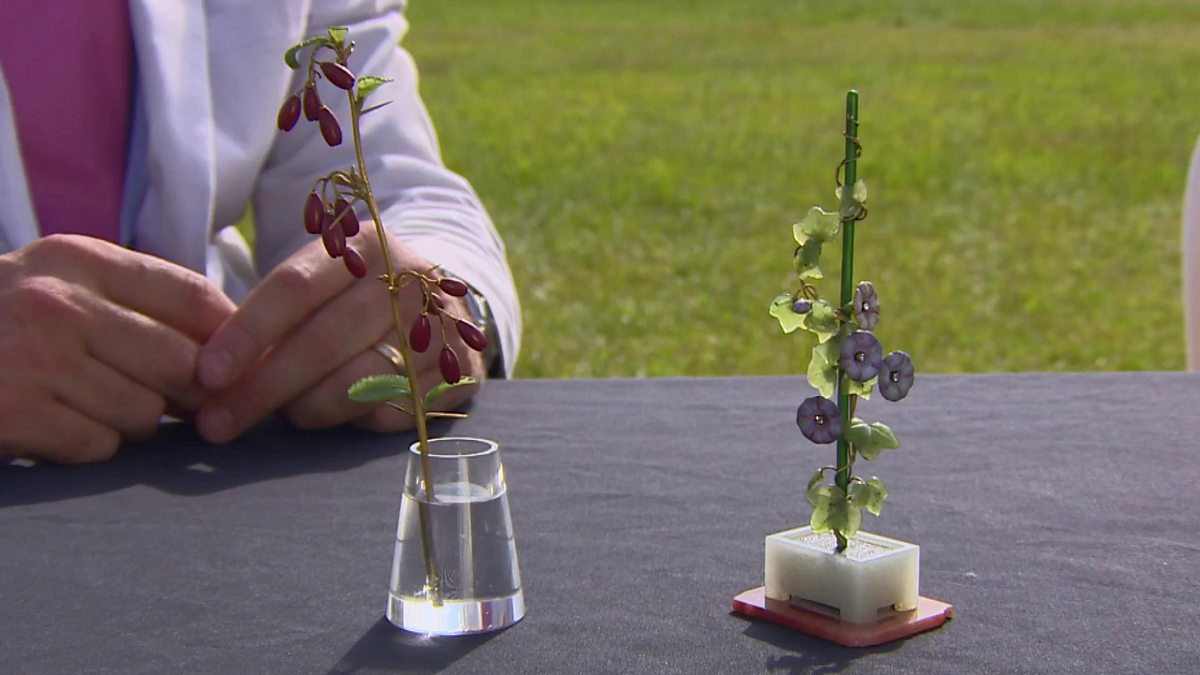 BBC One Bargain Hunt, Series 51, Oswestry 14, Watch these rare