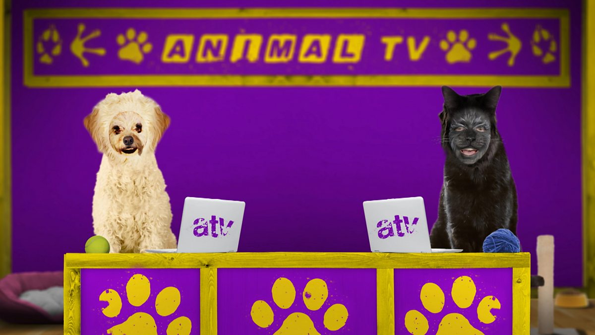 CBBC - Animal TV, Series 1, Frisky Come Dancing