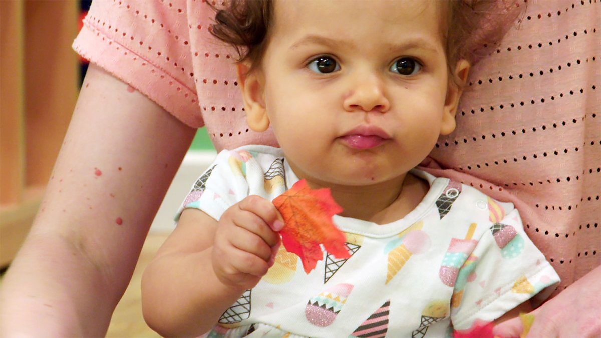 The Baby Club Series 1 10. Leaves BBC iPlayer