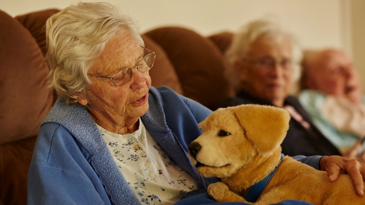 BBC World Service - Newsday, The robot dog helping people with ...