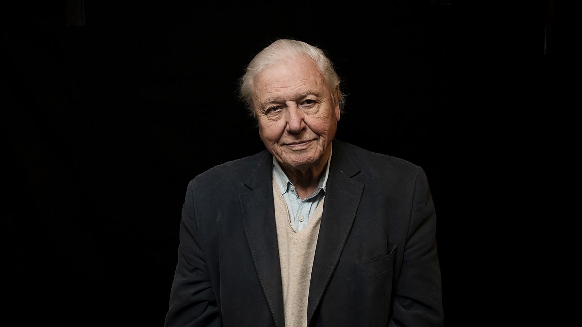 Сэр дэвид актрисы. Sir David Attenborough. Дэвид Аттенборо.