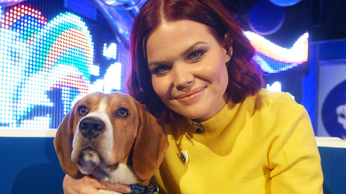 BBC iPlayer Blue Peter Blue Peter Amazing Animals and a Big Surprise!