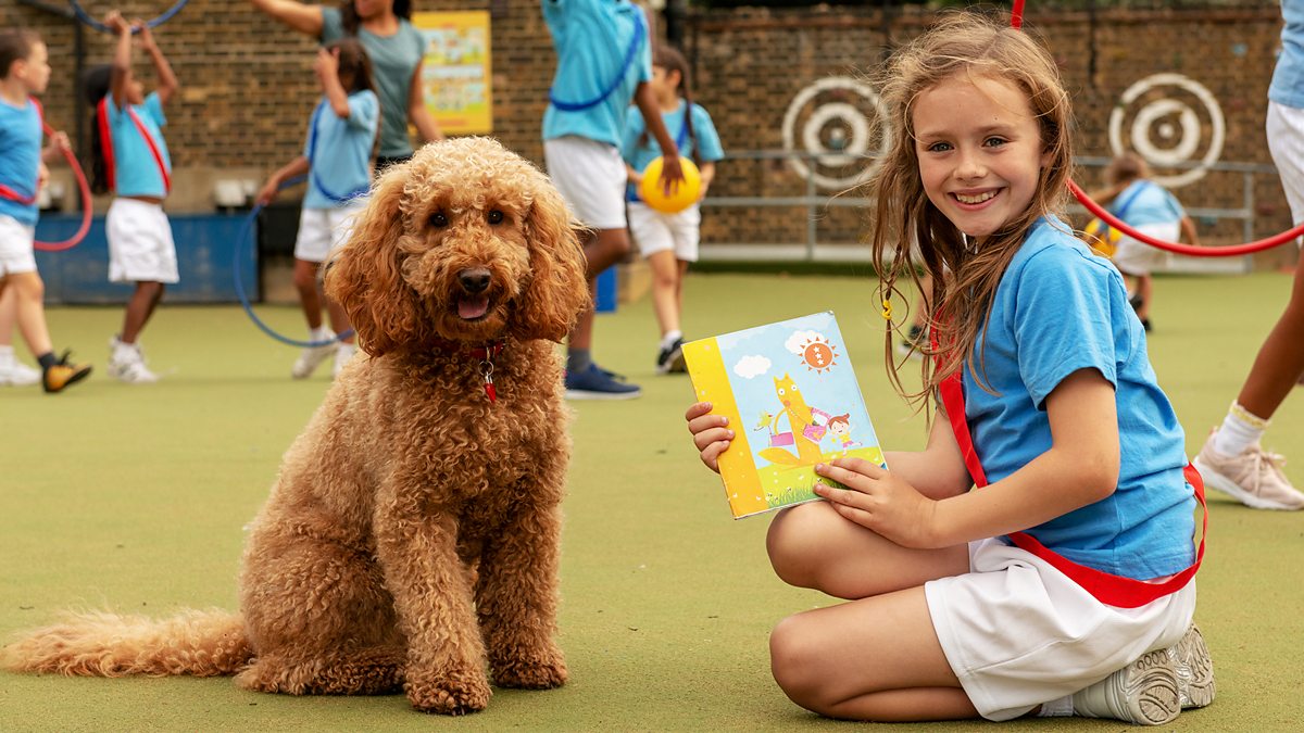 Waffle The Wonder Dog - Series 3: 9. Pe Waffle - Bbc Iplayer