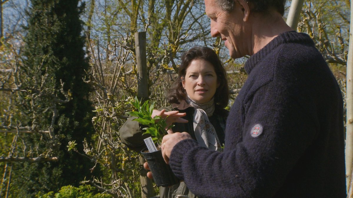 BBC Two Gardeners' World, 2019, Episode 7, Planting a dyer's garden