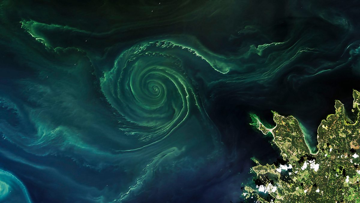 BBC One - Earth from Space, Series 1, Colourful Planet