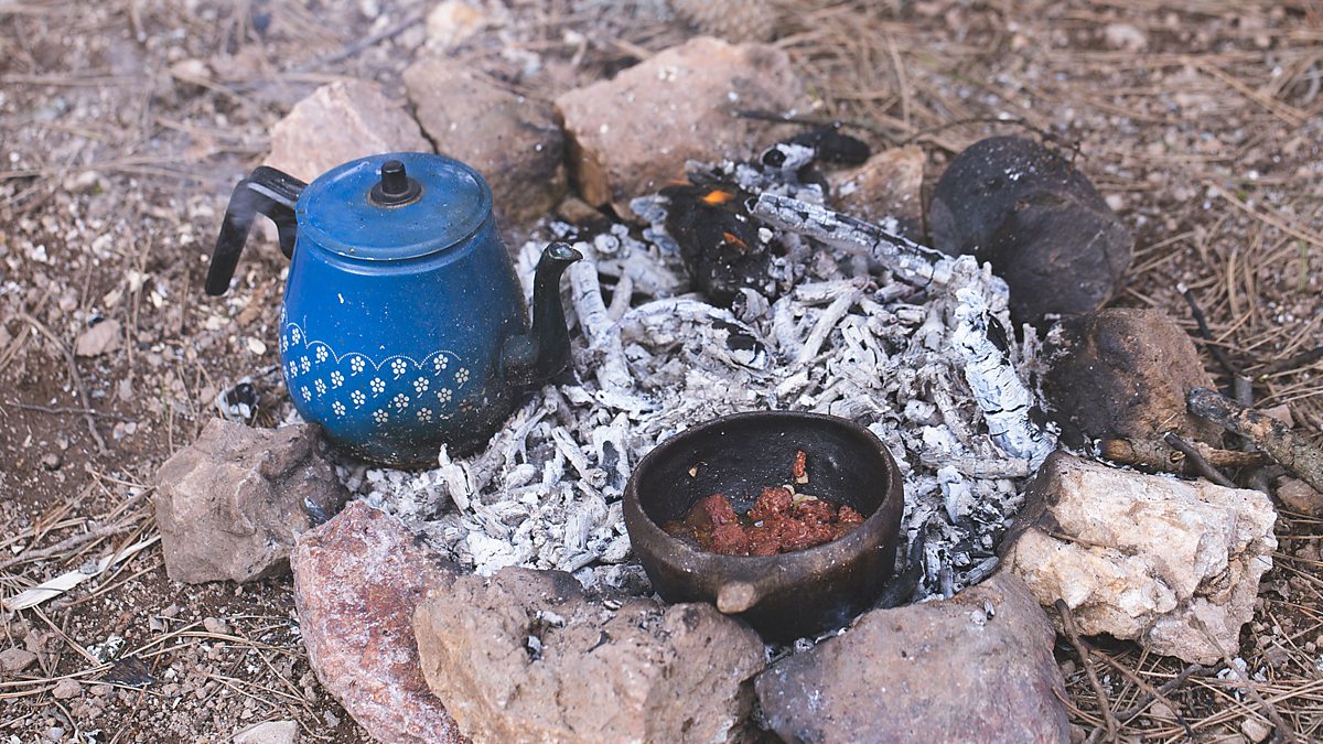 BBC World Service CrowdScience Did Cooking Make Us Human Why Did 