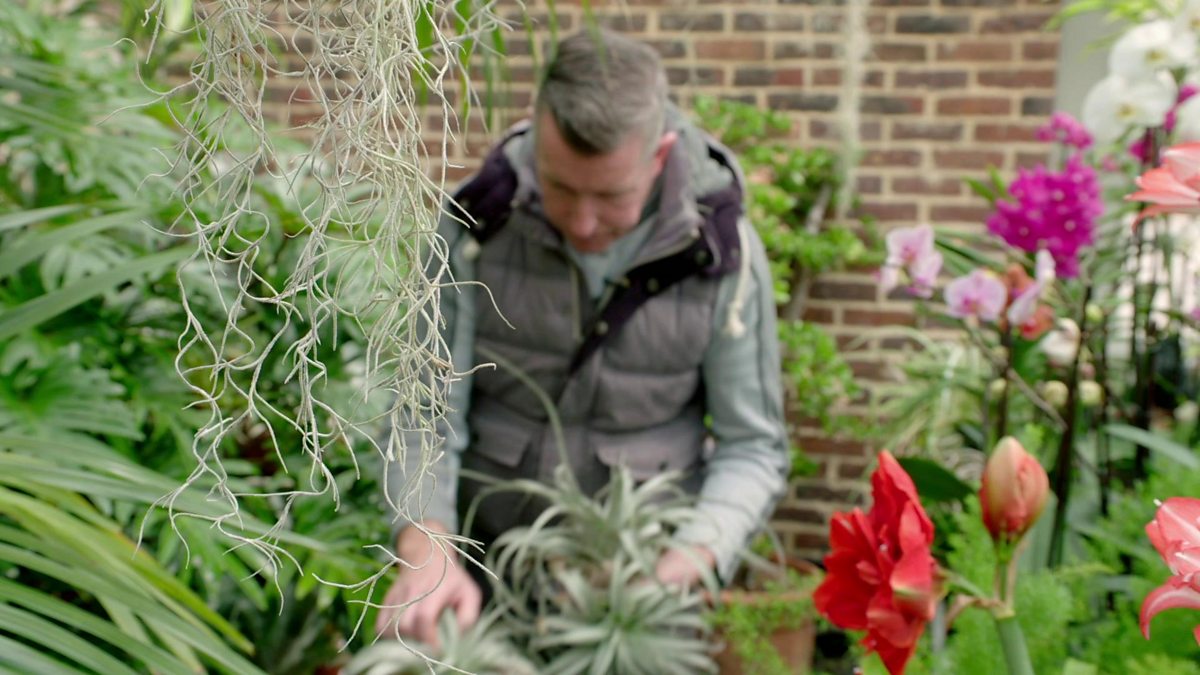 BBC Two - RHS Chelsea Flower Show, 2019, The Road to Chelsea, Floral ...