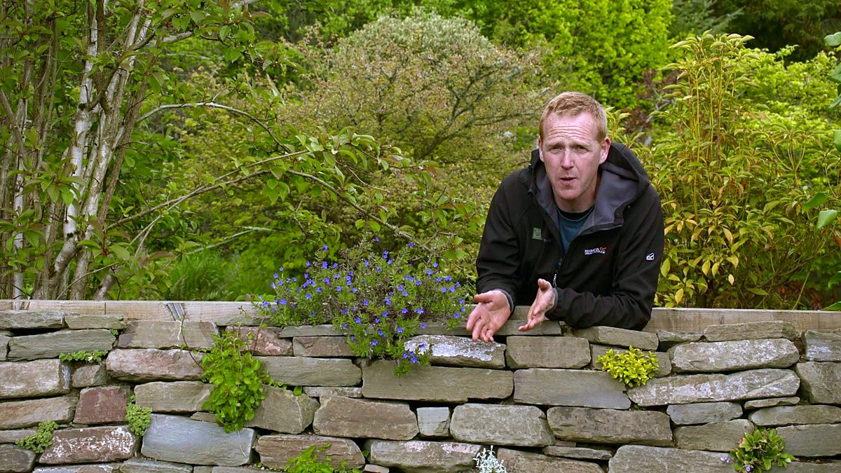 BBC Scotland Beechgrove Garden, 2019, Episode 4, An easy way to