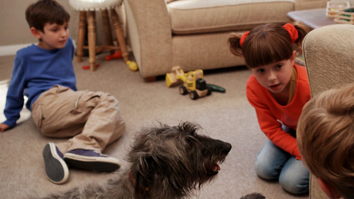 Topsy And Tim - Series 1: 6. Dog Day - Audio Described - BBC IPlayer