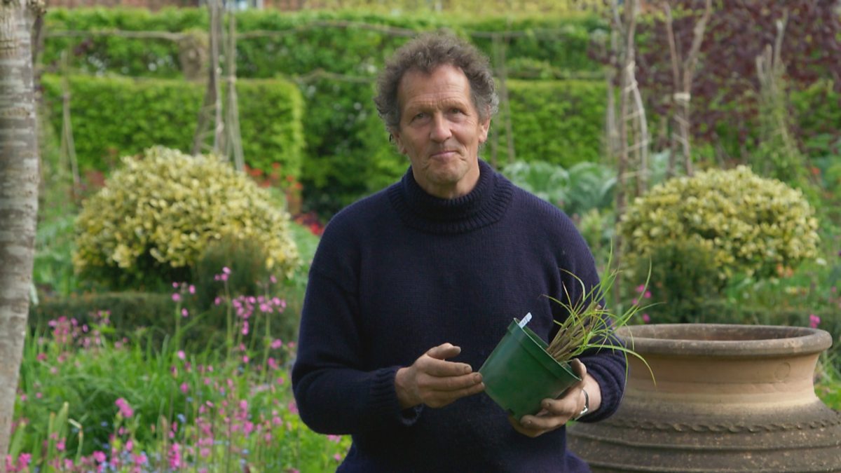 BBC Two - Gardeners' World, 2019, Episode 11, Dividing deciduous grasses