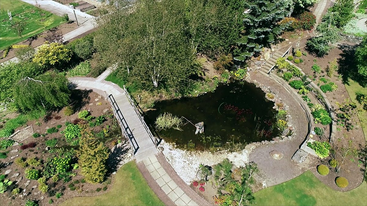 BBC Scotland - Beechgrove, 2019, Episode 5, A bird’s-eye view of