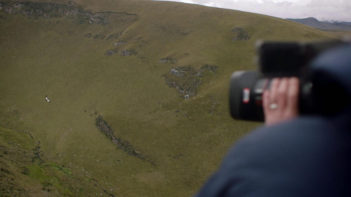 Bbc Two Equator From The Air Series 1 South America The Andean Condor