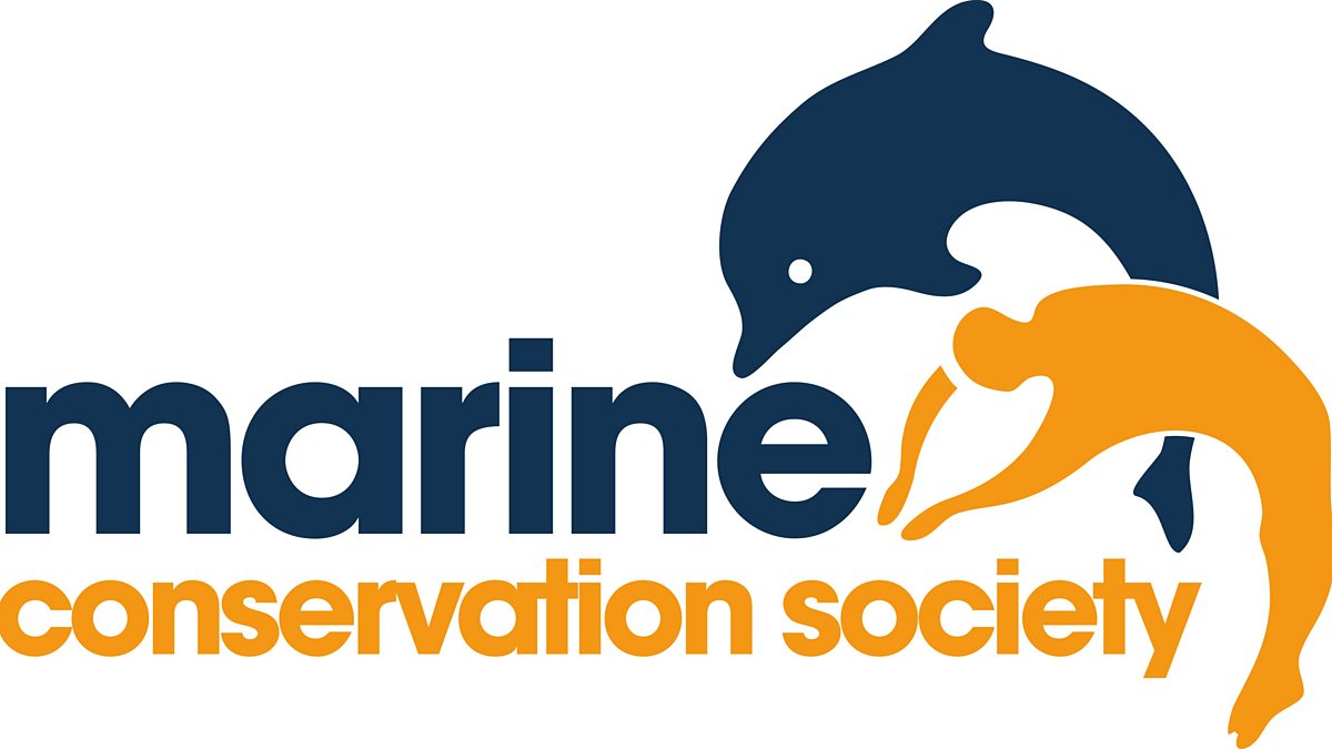 Marine Conservation Society featured on BBC's Springwatch program
