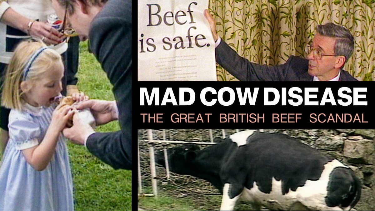 BBC iPlayer Mad Cow Disease The Great British Beef Scandal