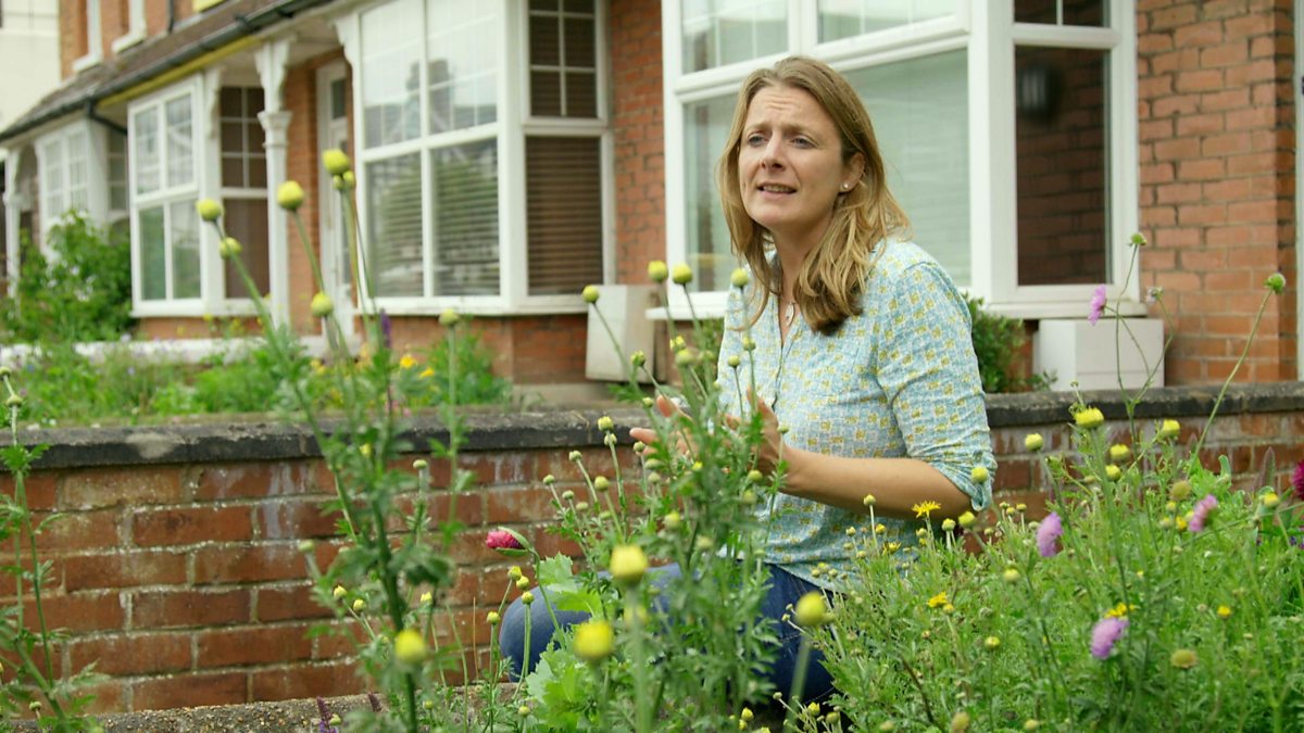 BBC Two Gardeners' World, 2019, Episode 17, Kate's wildlife garden