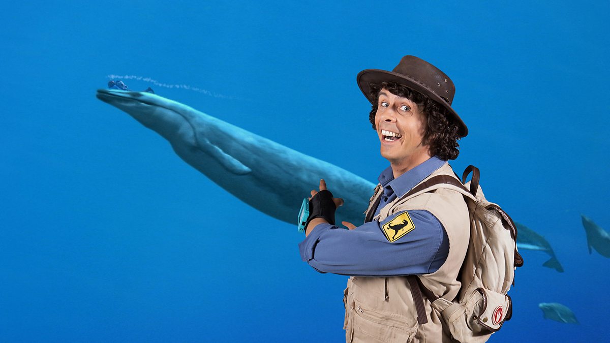 BBC iPlayer Andys Prehistoric Adventures 23. Basilosaurus and Barnacles