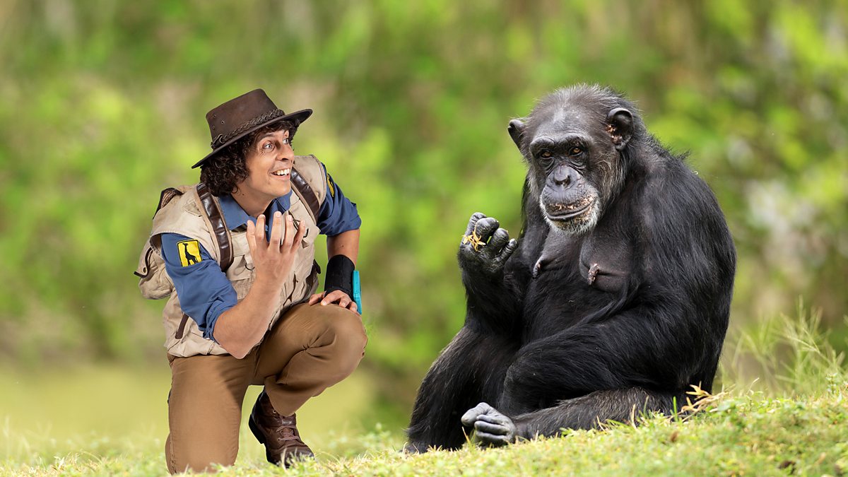 CBeebies - Andy's Safari Adventures, Series 1, Andy and the Chimps