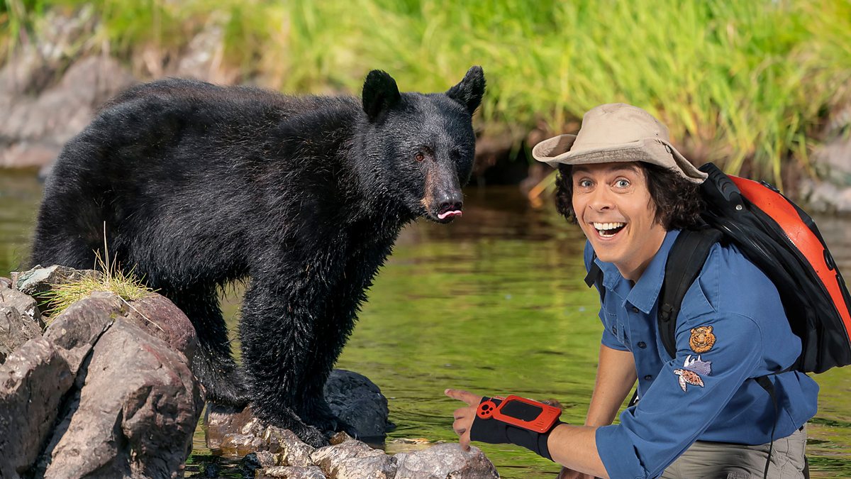 BBC iPlayer - Andys Wild Adventures - Series 1: 3. Black Bears