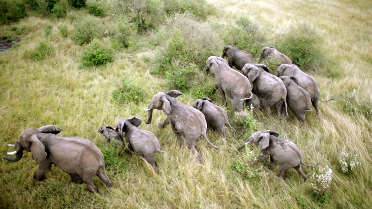 Bbc Two Equator From The Air Series 1 Africa