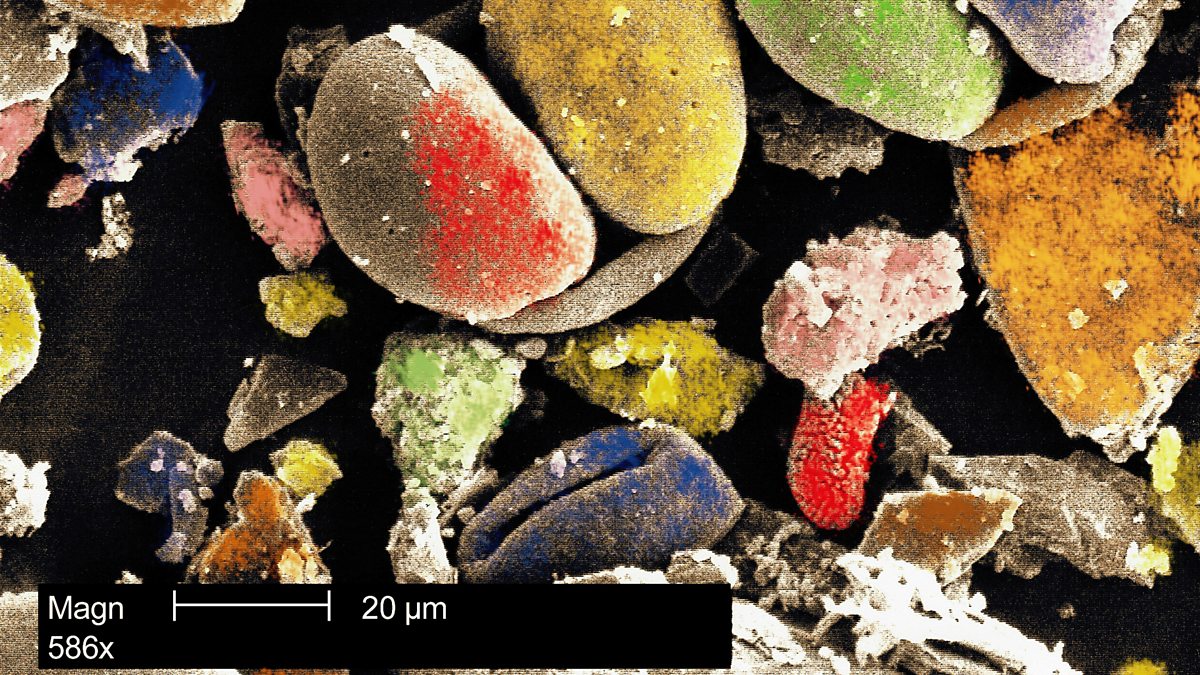 BBC World Service The Outlook Podcast Archive, Pollen detective