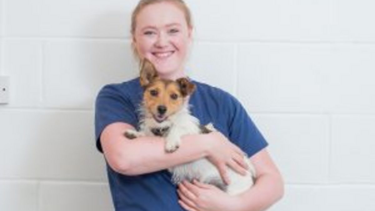 BBC Scotland Dream Job, Series 2, Secrets of a Vet Nurse