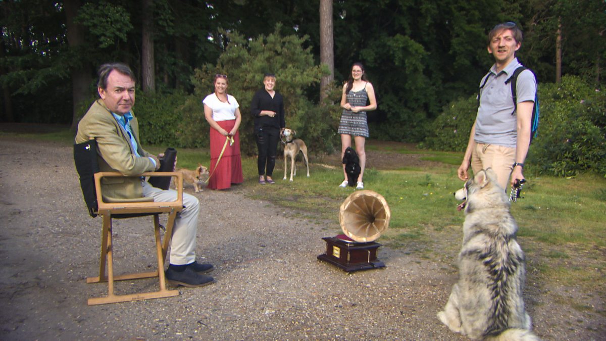 BBC One Bargain Hunt, Series 54, Kingston 13