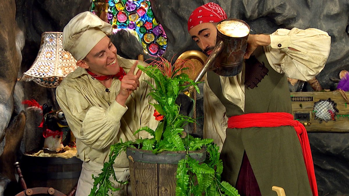 BBC iPlayer - Swashbuckle - Series 6: 8. Green Fingered Pirates