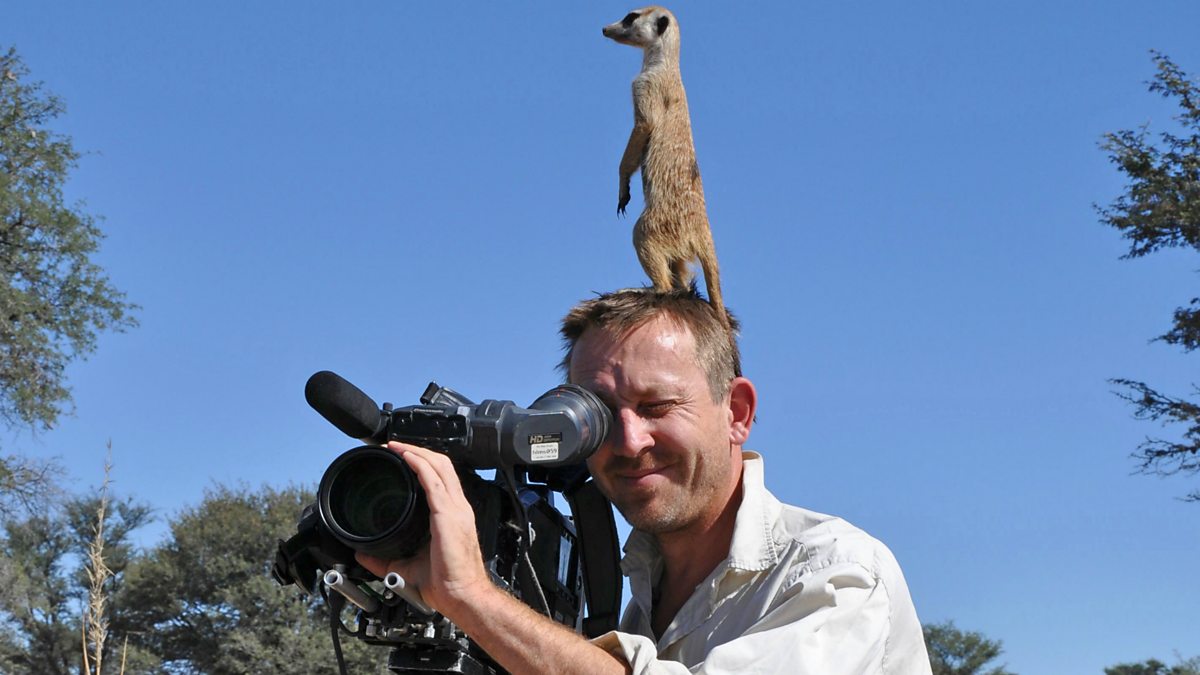 BBC World Service Weekend, Wildlife cameraman on climate change