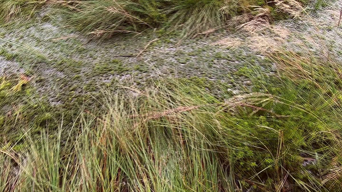 BBC News BBC News at Ten, Tackling climate change Conserving the UK