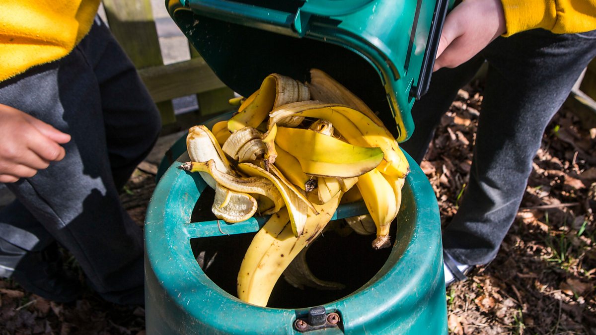BBC World Service - Outlook, How I turn banana waste into paper bags