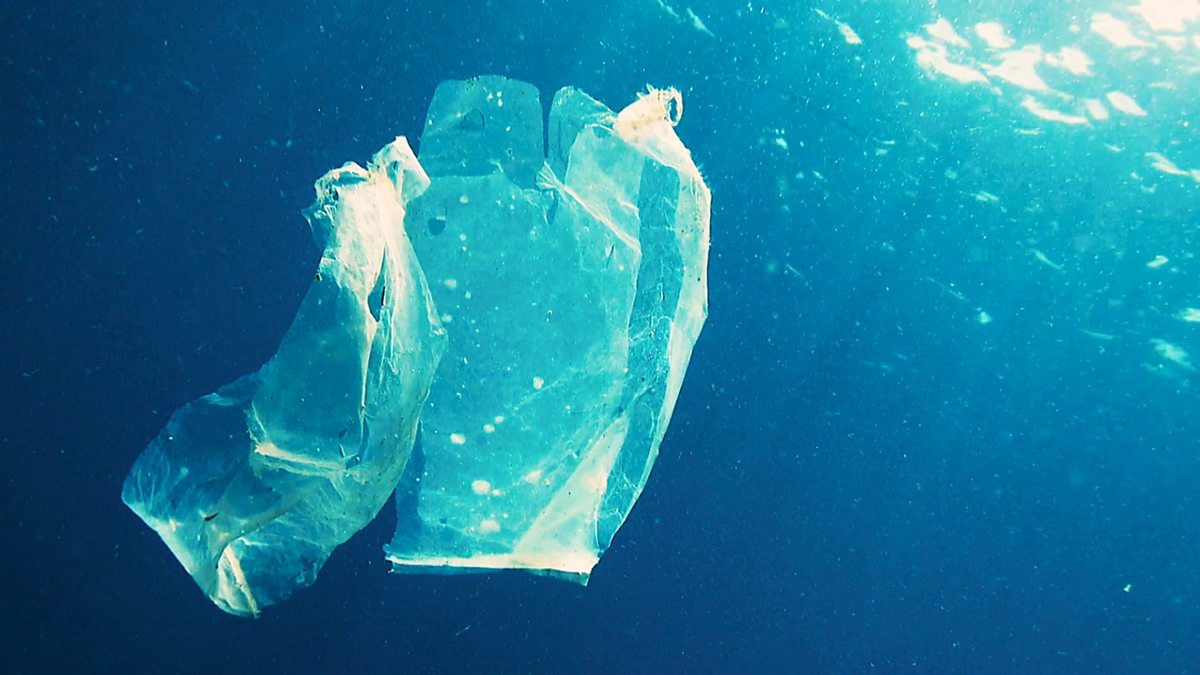 BBC News The News Explained How Plastic Bags Were Supposed To Help bbc-news-the-news-explained-how-plastic-bags-were-supposed-to-help