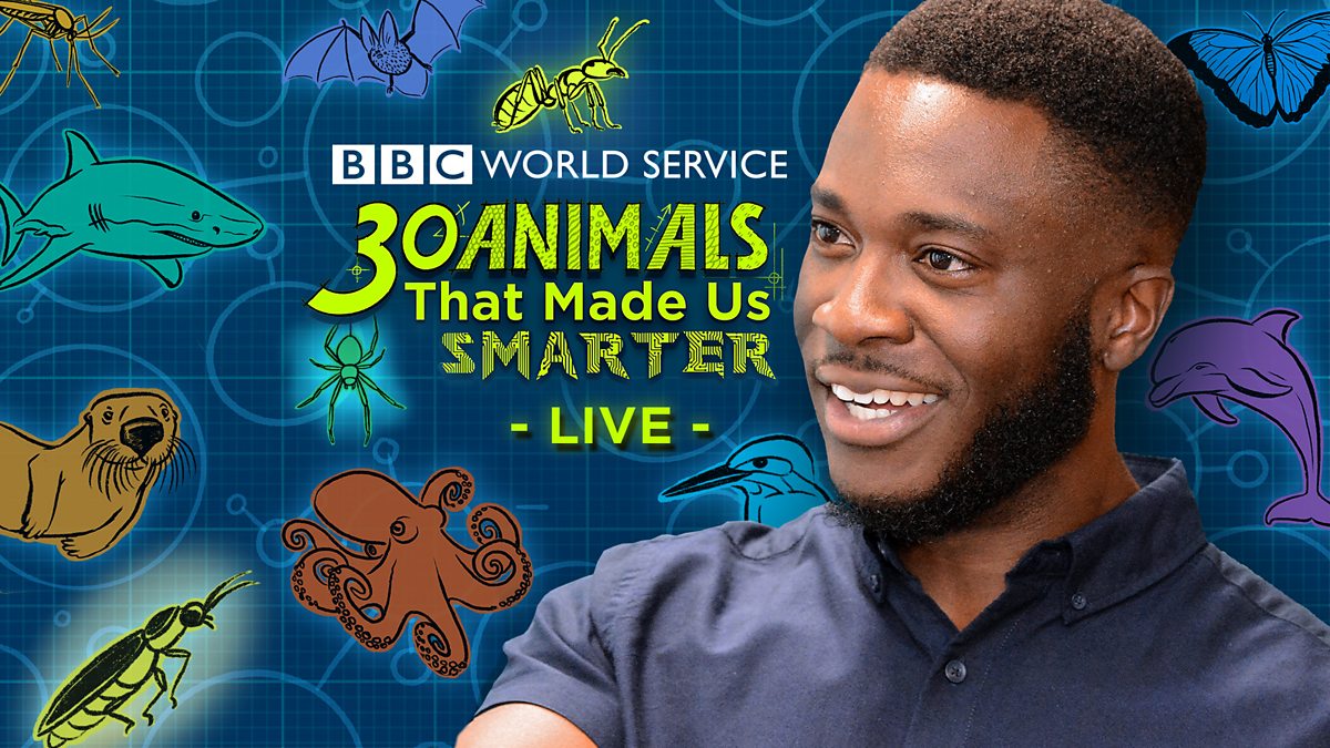 BBC World Service - 30 Animals That Made Us Smarter, 30 Animals LIVE