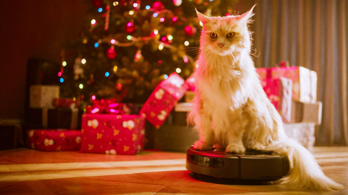 Bbc Christmas Cat On A Robot Vacuum Cleaner Xmaslife