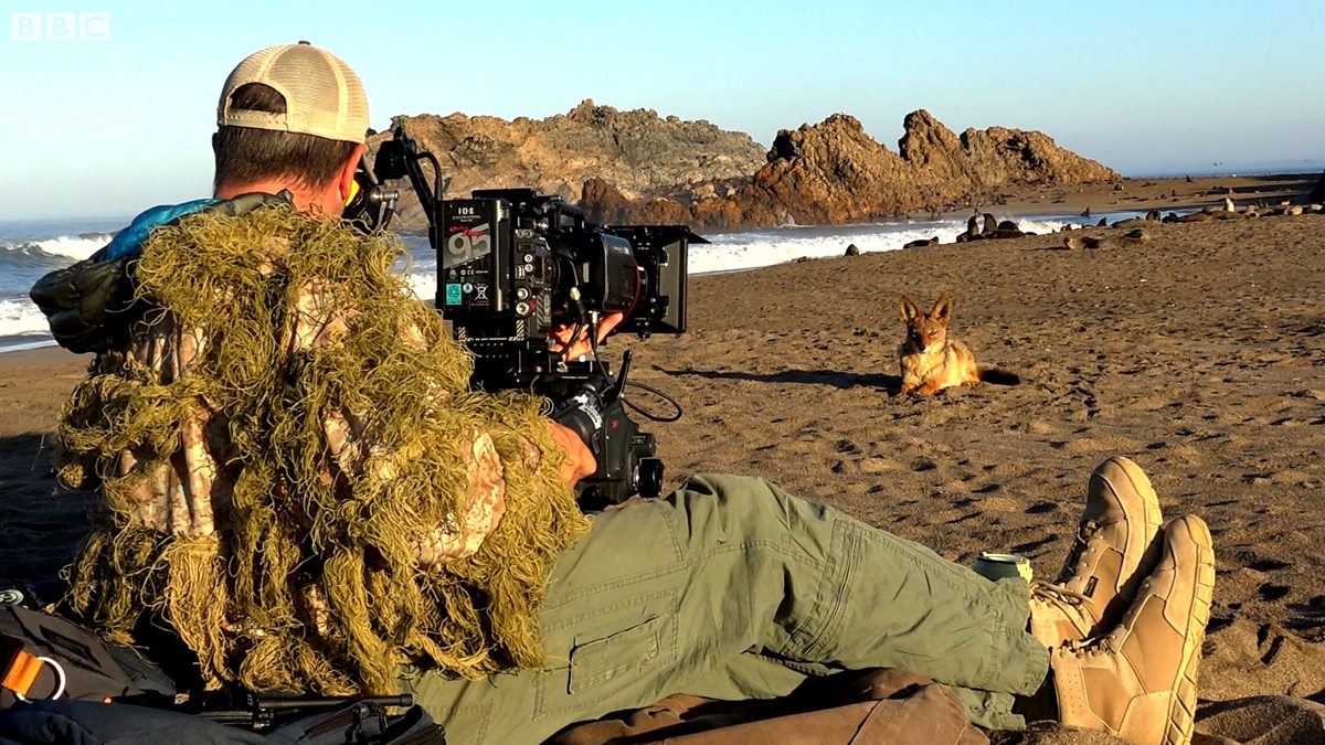 BBC One Seven Worlds, One Series 1, Africa, exclusive