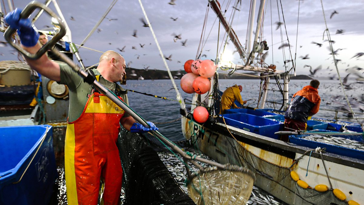 BBC Two - Cornwall: This Fishing Life, Series 1, Episode 1