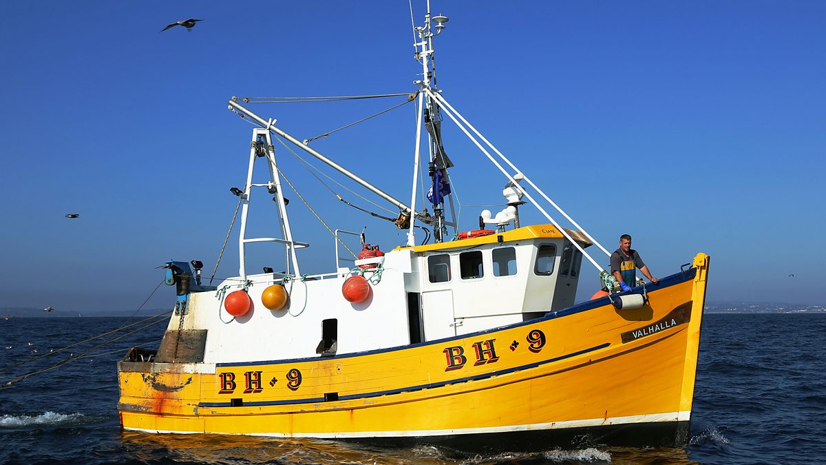 BBC Two - Cornwall: This Fishing Life
