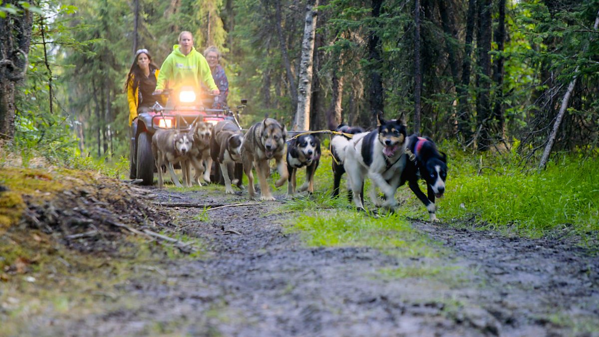 BBC Two Win the Wilderness Alaska, Series 1, Episode 3