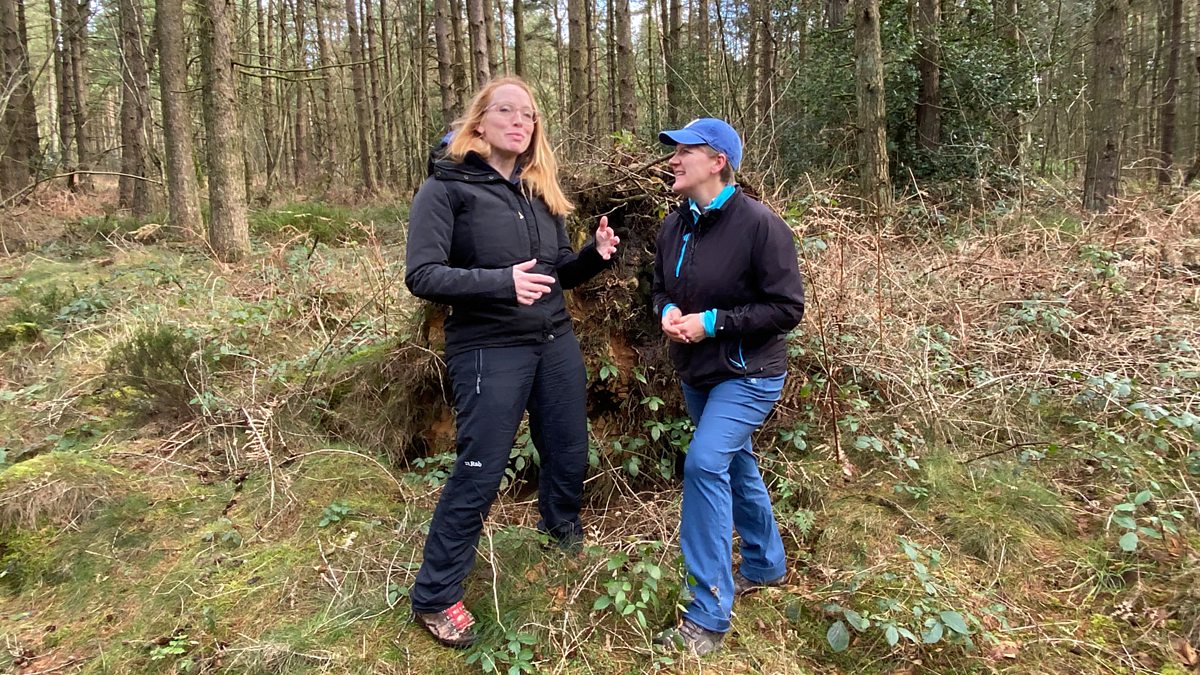 BBC Radio 4 - Ramblings, Outdoor Counselling in Derbyshire