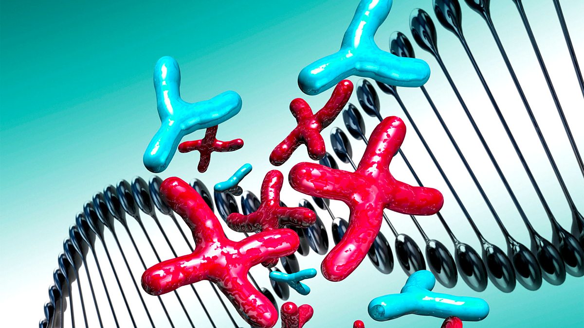 BBC Radio 4 Start the Week, The gender gap