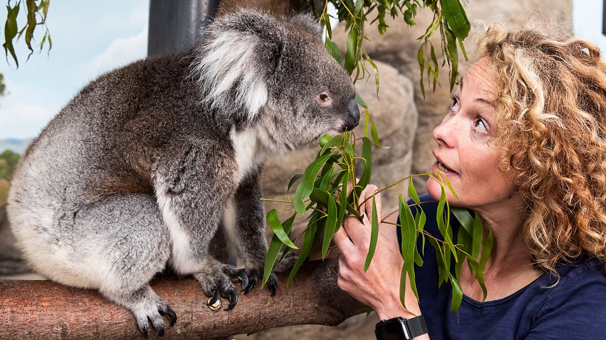 BBC One - Animal Park, 30-Minute Editions, Episode 1 BBC One - Animal Park, 30-Minute Editions, Episode 1
