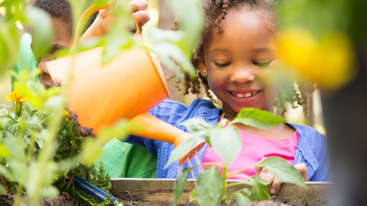 BBC - Gardening